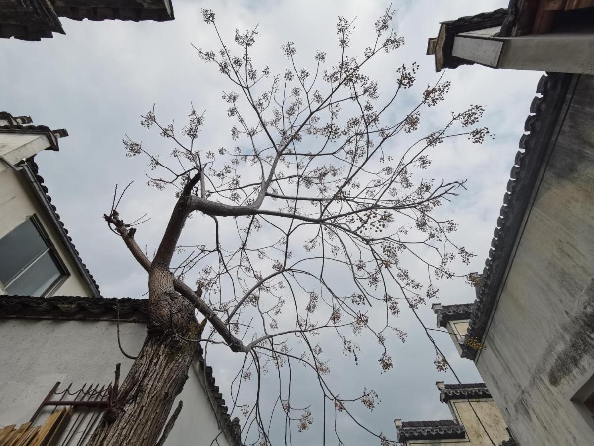 Xidi Kunlun International Hostel Yi (Anhui) Εξωτερικό φωτογραφία